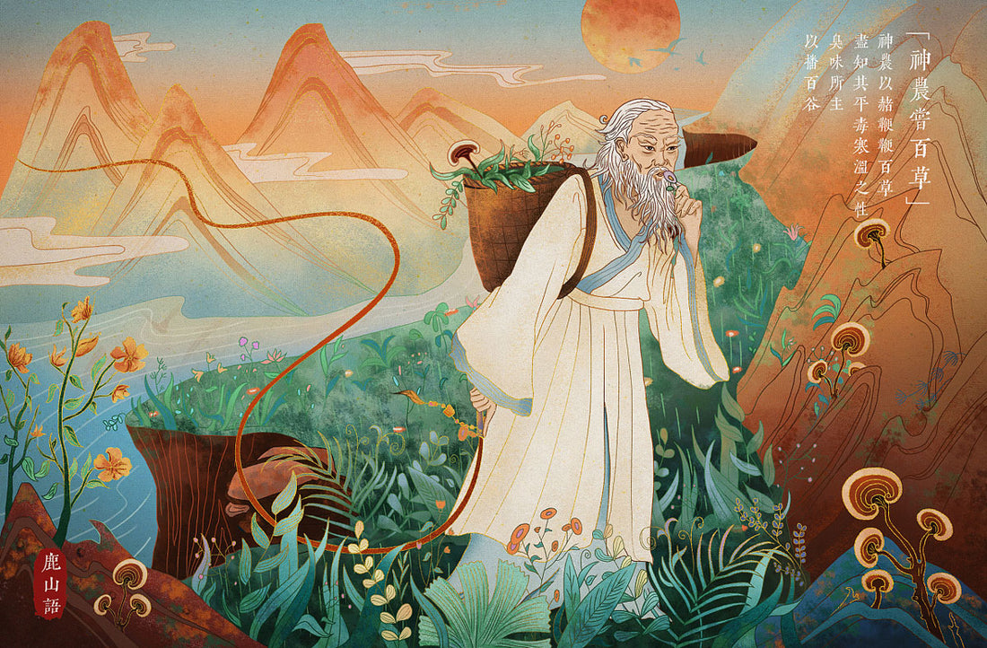 The Earliest Chinese Medicinal Book "Shennong Bencao Jing" - Shennong's Taste of Hundred Herbs to Save the Lives of the People