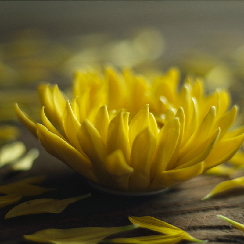 Handcrafted Ceramic Chrysanthemum Incense Burner and Holder-04