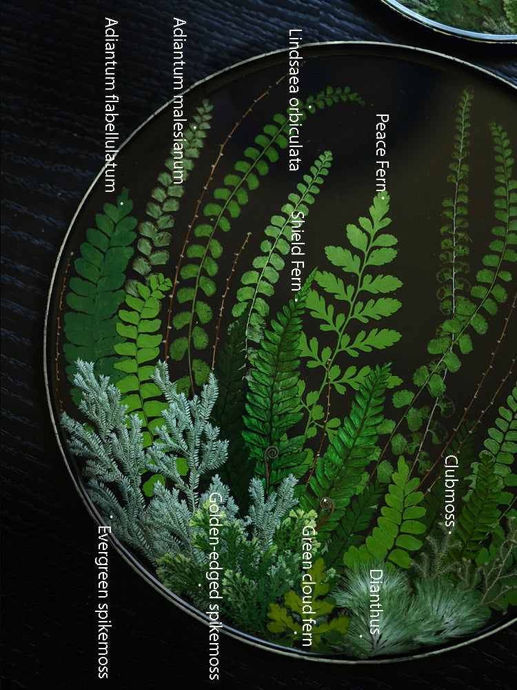 Handcrafted Natural Fern Round Lacquer Tray - Traditional Chinese Non-Heritage Lacquerware Tray-09