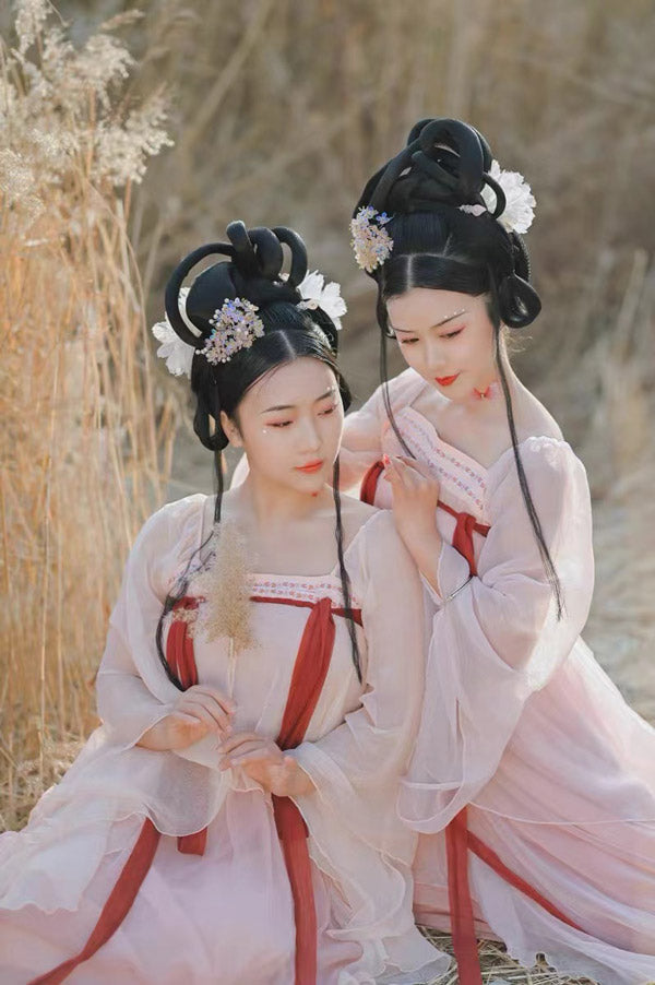 Pink Modern Hanfu Dess Daily Hanfu Skirt Chinese Style Chiffon Fairy Dress-06