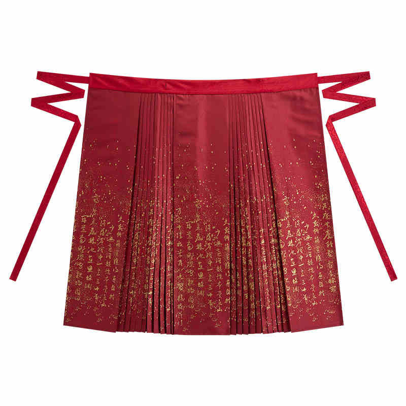 Chinese Calligraphy Elements in Woven Gold Mamianqun Hanfu Skirt