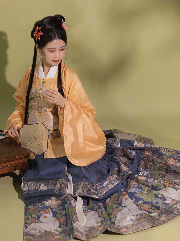 Jade Rabbit Gazing at the Moon - Ming Dynasty Style Hanfu Mamianqun Skirt Set-11