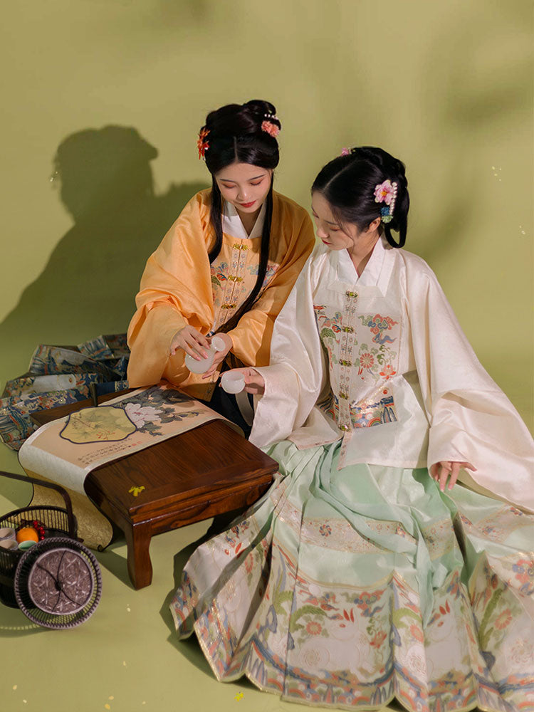 Jade Rabbit Gazing at the Moon - Ming Dynasty Style Hanfu Mamianqun Skirt Set-12