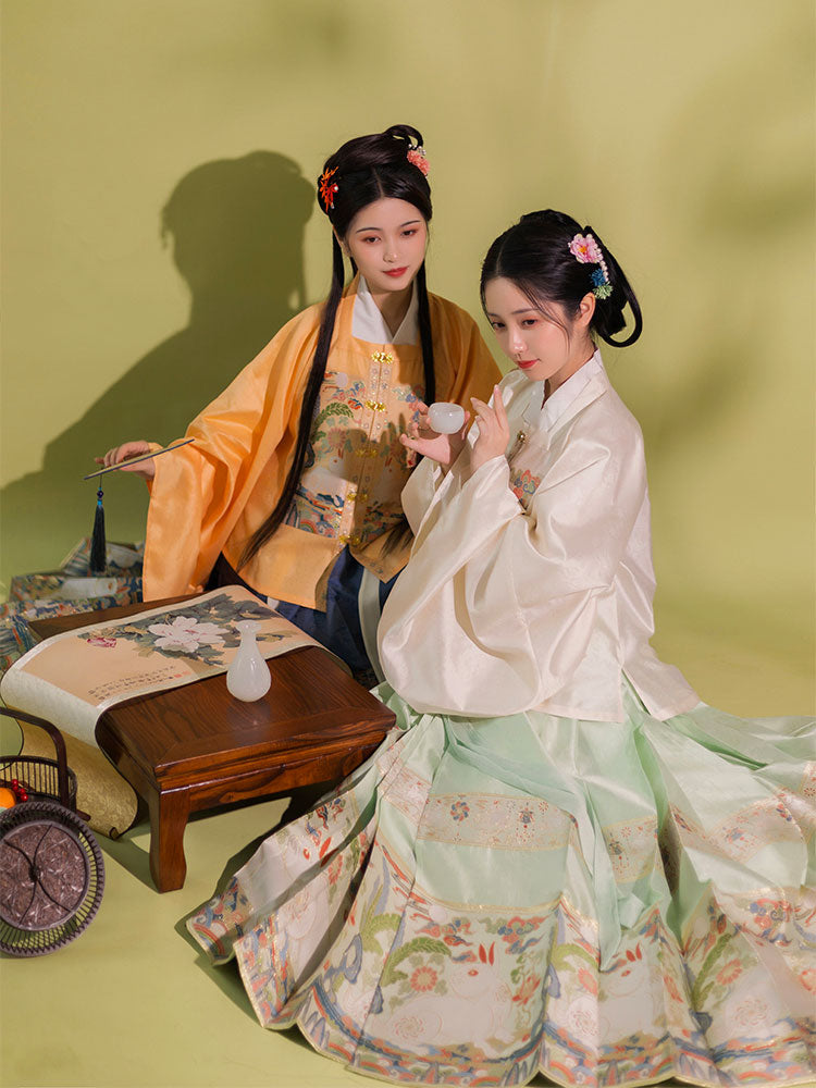 Jade Rabbit Gazing at the Moon - Ming Dynasty Style Hanfu Mamianqun Skirt Set-13